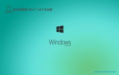 Ա⼤win11 64λרעӢv2024.11